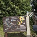 (주)다리와사람들 | 울산 동구 가볼만한곳 대왕암공원 출렁다리 주차 꿀팁 후기