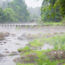 서홍동-10 이미지