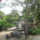 읍성작은도서관 이미지