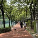 마들체육공원 이미지