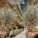 안산우체국 | 안산 “더루체 웨딩홀” 사회자 하객 방문 후기 (feat. 주차장, 연회장, ATM)