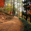 오감연결길 이미지