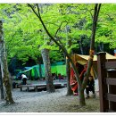 동화야영장 이미지