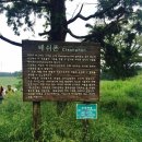 새대한목장 네이버블로그
