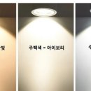 신용조명