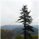 함양 삼봉산(오도재~오도봉~삼봉산~등구재~백운산~금대산~금대암~금계마을) 이미지