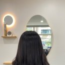 뮤즈 앤 포레 이미지