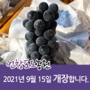번창농원 네이버블로그
