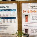 엘리자펫 이미지