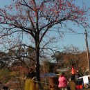 하얀민들레마을 이미지