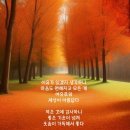 잊혀진 계절 이미지