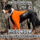 한국애견용품연구소 | 대형견옷 논스톱 도그웨어 강아지 진드기 방지 옷 애견용품 추천