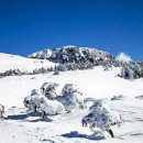 현아목장 이미지