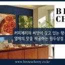(주)엘디 | 브라운체리 콜롬비아 엘디비소 원두 솔직 후기 — 큐그레이더가 로스팅한 원두 직접 마셔봤습니다