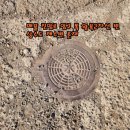 제주노른자부동산중개 이미지