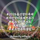 해든푸드마켓 | 울산 장미축제 2026 찐후기 야간 콘서트 체험부스 주차 꿀팁