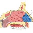 공덕연세이비인후과의원 이미지