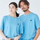 카에데