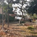 고성버드리민박 이미지