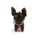 5c자동차 이미지