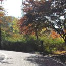 금지순환길 이미지