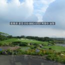 에스케이핀크스주식회사 이미지