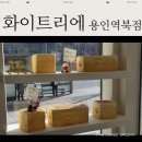 식빵 | 용인 빵집 ㅣ 역북 화이트리에 식빵 구입후기