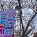 카페051진해장천점 네이버블로그