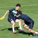 태극인 허브 이미지