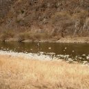 장수바위민박 이미지