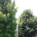 조야분소 이미지