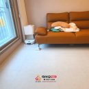 양을로 42 이미지