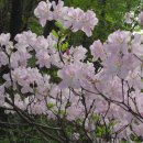 금정산성마을 이미지