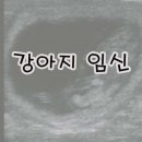 JM메디칼 이미지