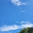 큰나무부동산공인중개사사무소 이미지