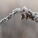 베르만짐 식사점 이미지