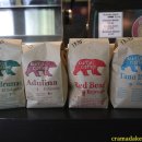 쿠마(KUMA) 이미지