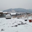 하은농장 이미지