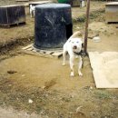 우리들 농장 이미지