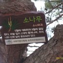 도사초등학교 이미지