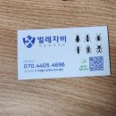 자비의집 | [내돈내산]벌레자비 방역 후기