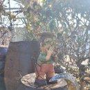 ic펜션 | 고창펜션 [다라래] 전북 고창IC 5분 독채에서 보낸 힐링 후기