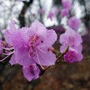 구름산·도덕산: 석수역-성채산-서독산-가학산-구름산-도덕산-철산역(광명5산 종주)