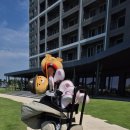 굿프렌즈 | 골프용품으로 개성을 표현하다, 굿프렌즈골프 아이언커버 후기