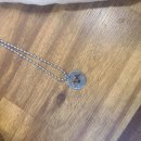 커들리 독 이미지