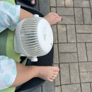 삼성카랜드 | 17개월 아기랑 서울 근교 여름나들이 추천 🌿엄마 혼자 에버랜드 + 삼성화재 모빌리티뮤지엄 후기