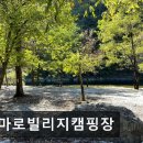 GS25 영월별마로 | 영월 숙소 추천 별마로빌리지캠핑장 영월 별마로빌리지캠핑장, 별이 쏟아진다