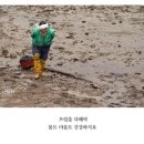 장사시장 이미지