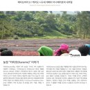 그린에어로빅 이미지