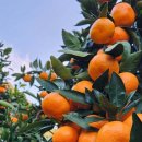 천지농장 이미지